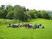 Green Lane Burial Field & Nature Reserve, Powys